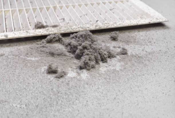 Best Ductwork Cleaning Services  in Indian Harbour Beach, FL