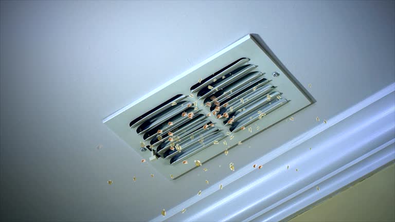 Home Air Vent Cleaning in Indian Harbour Beach, FL