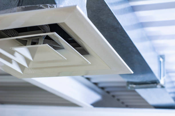 Best Professional Duct Cleaning Services  in Indian Harbour Beach, FL
