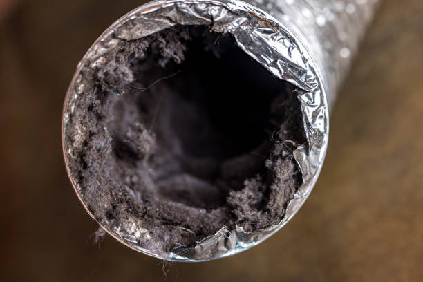 Best Emergency Air Duct Cleaning  in Indian Harbour Beach, FL