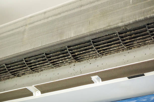 Best Air Duct Cleaning Near Me  in Indian Harbour Beach, FL